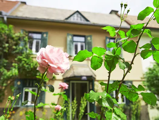 Vermittlungs- und Veranstaltungsangebote machen das Ingeborg Bachmann Haus gleichzeitig zum Ort kultureller Begegnung.